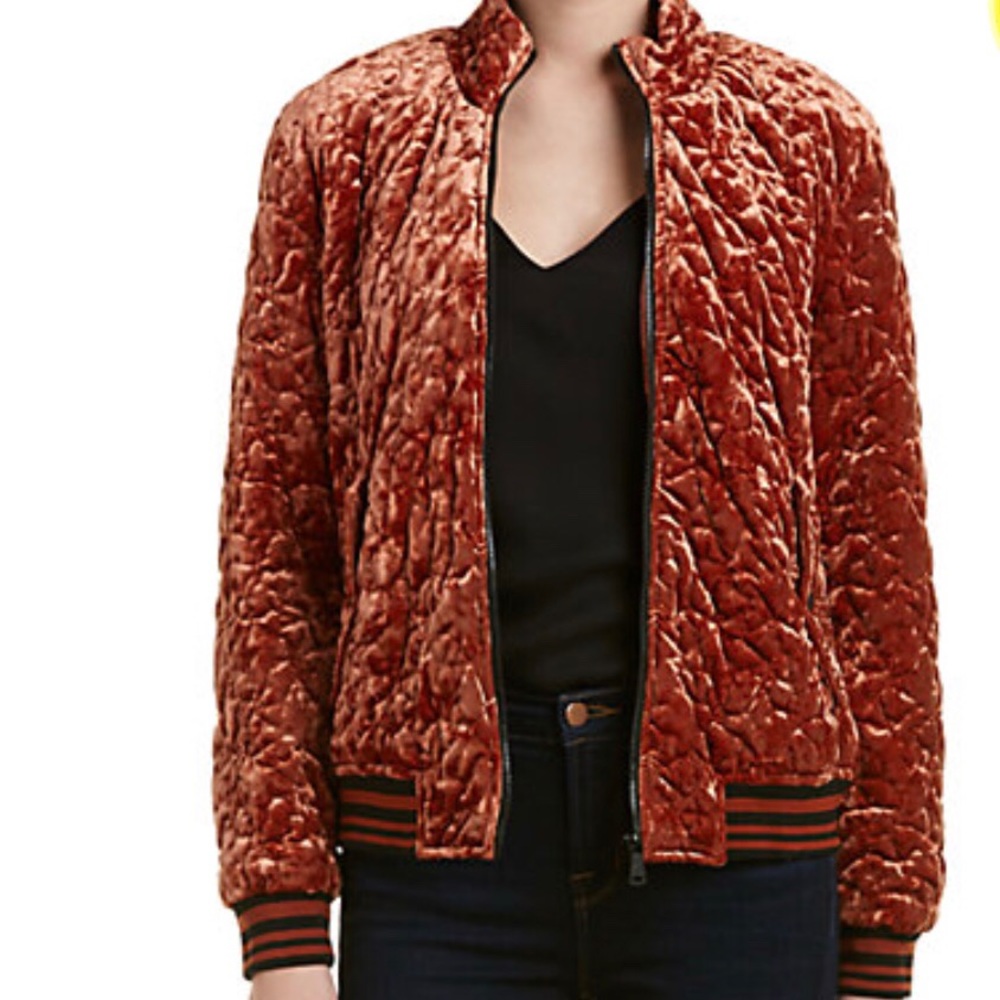 Bernardo Velvet Track Jacket